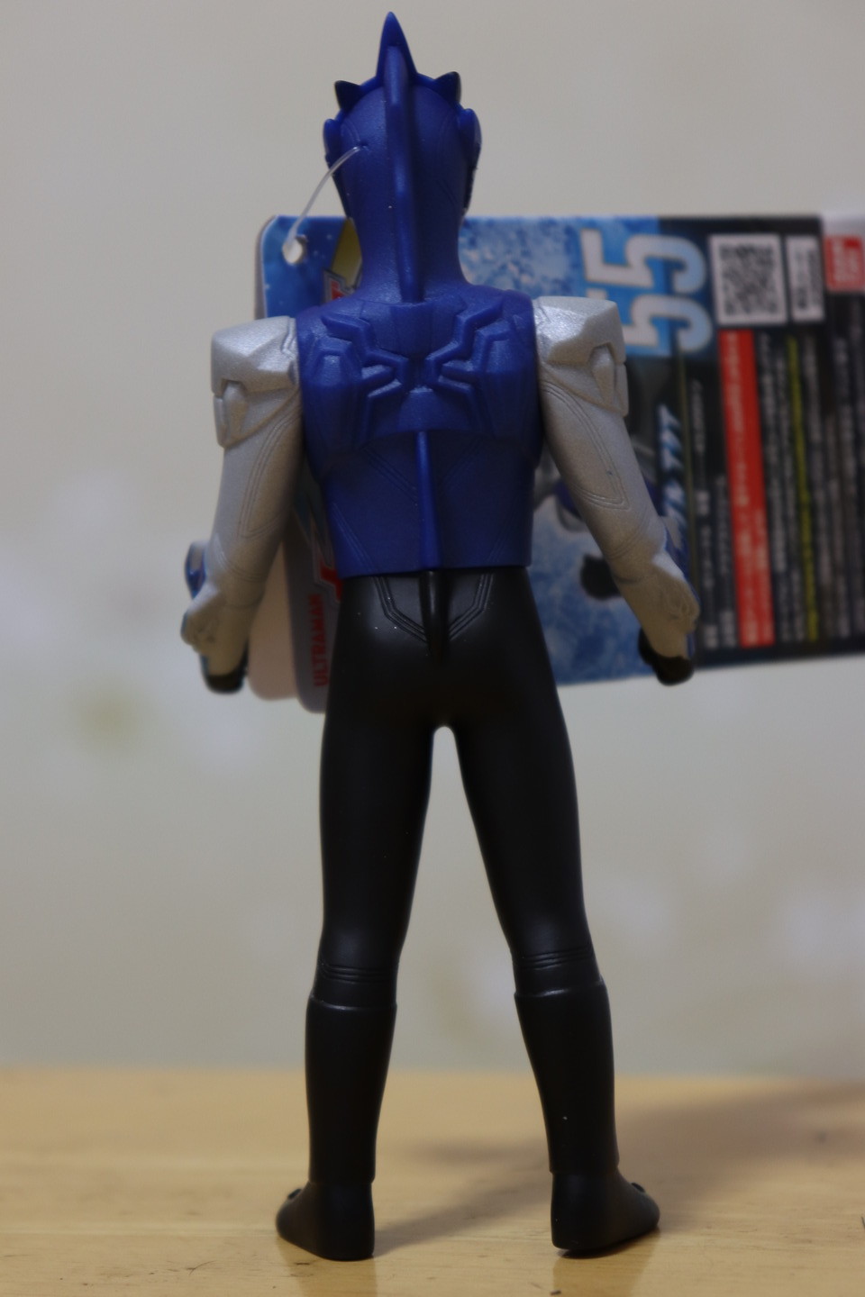 ブルアクア背中