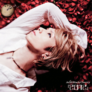 Acid Black Cherry