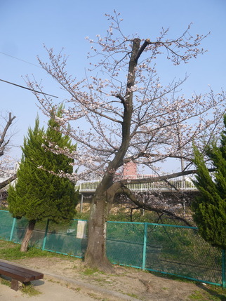 P2410407
