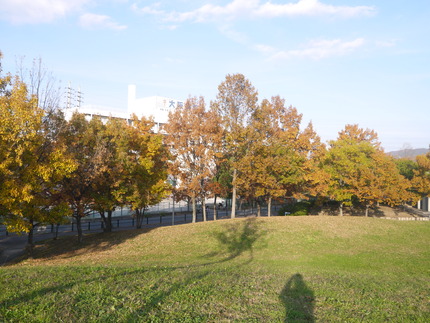 P1290083