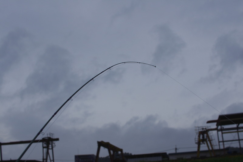IMGP9481_R-1