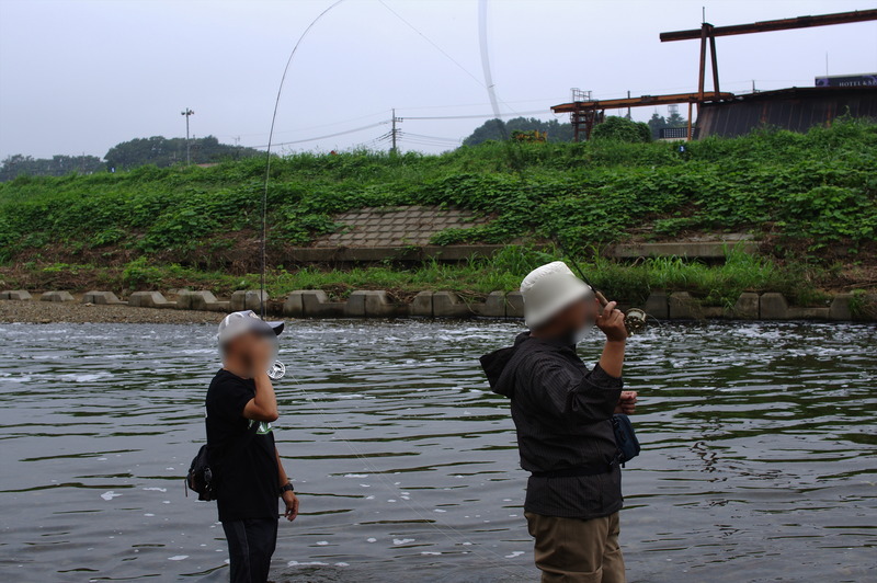 IMGP9498_R