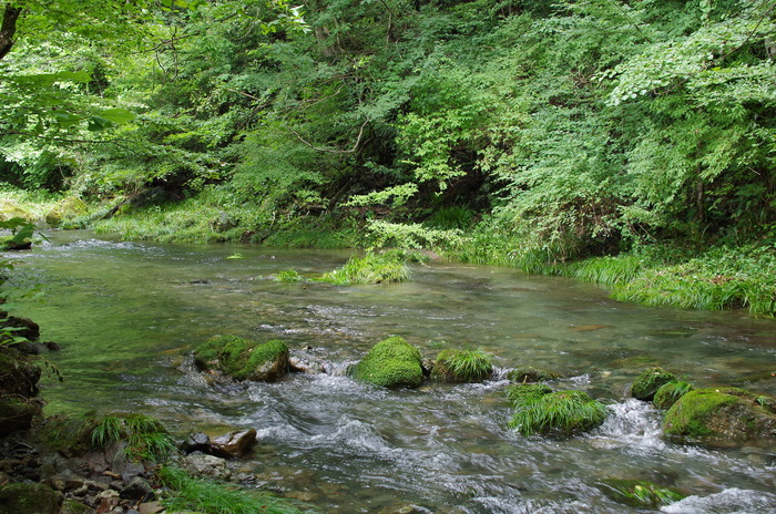 IMGP0079