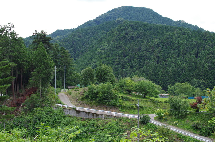 IMGP0069