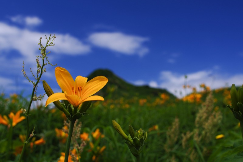 IMGP1456_R
