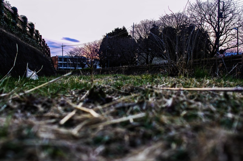 IMGP0517_R