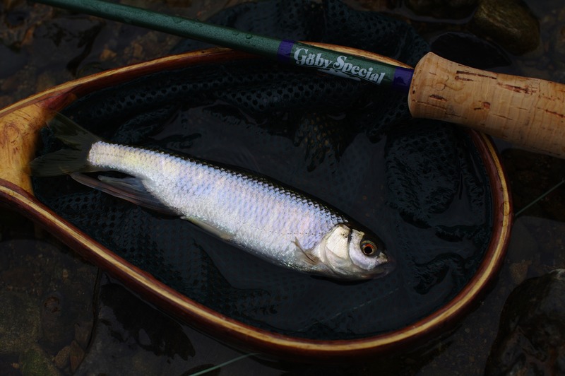 IMGP9490_R