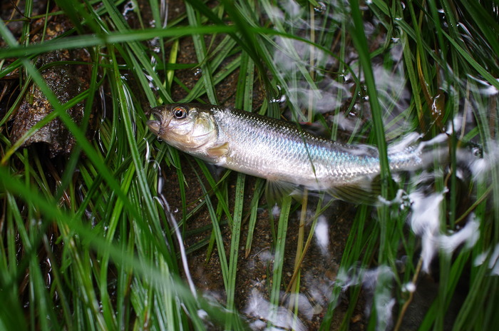 IMGP0125-01