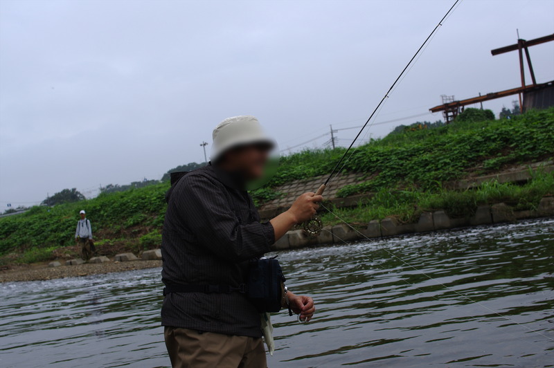 IMGP9515_R