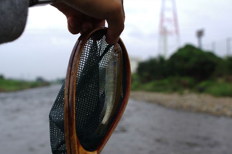 IMGP9486_R