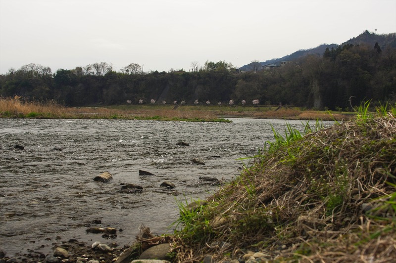 IMGP1145_R