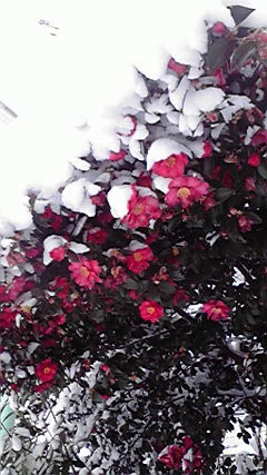 2011011709050000
