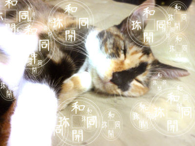 ani_使用例2