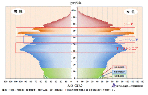 人口ピラミッド_2015