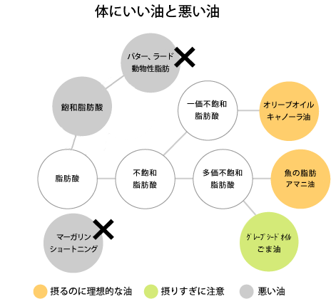 新おとな学
