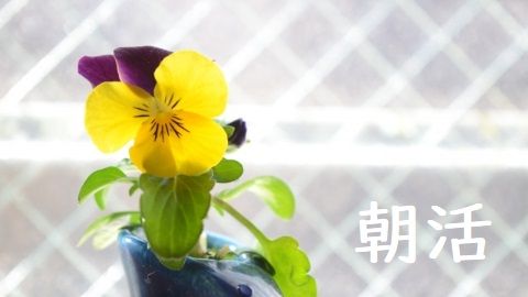 朝活から始めるシンプルな暮らし方 #1 朝型生活に変えるために