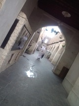 205a8f57.jpg