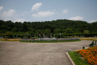 兵庫県フラワーセンター2