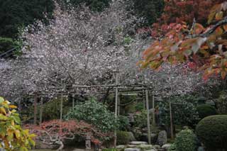 実光院
