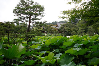 法金剛院2