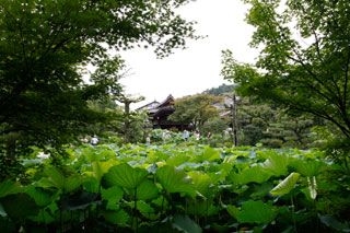 法金剛院1