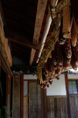 四国の旅87