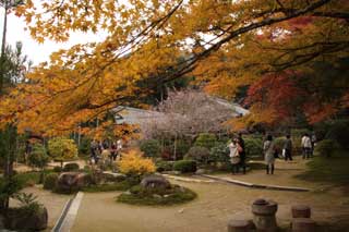 実光院1