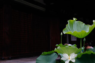 法金剛院3