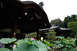 法金剛院