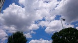 DSC_7572
