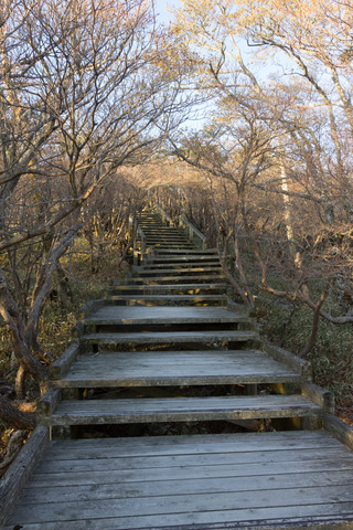 ウッドデッキで歩きやすい