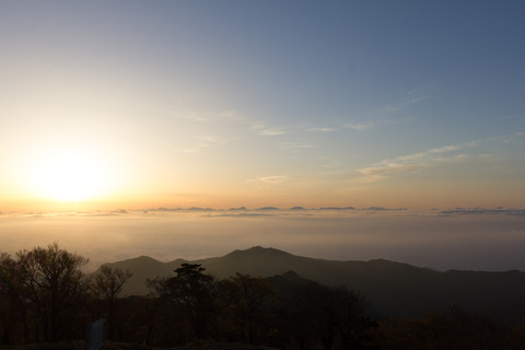 見事な雲海