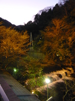 P1040872