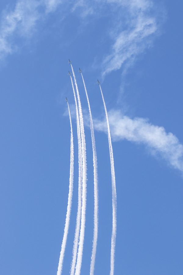 0Z8A5508