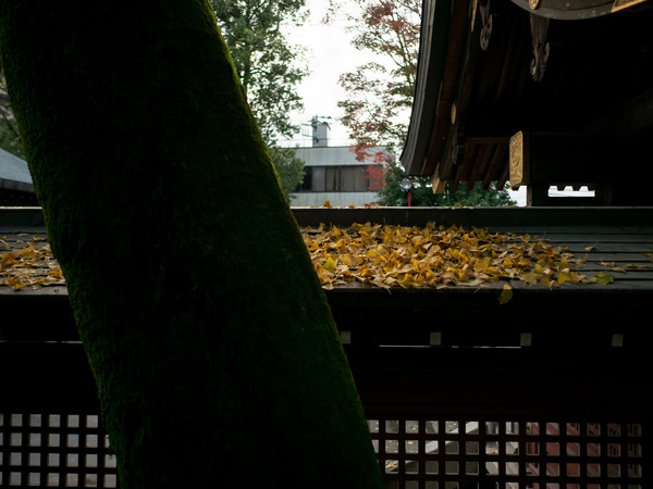 P9780337