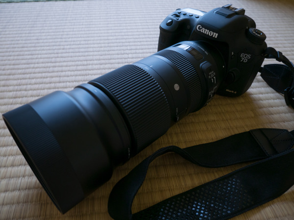 P9800470
