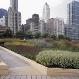 pietgdn6