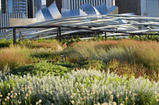 pietgdn7