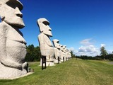 IMG_3144