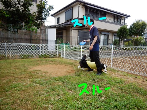DSCN4309