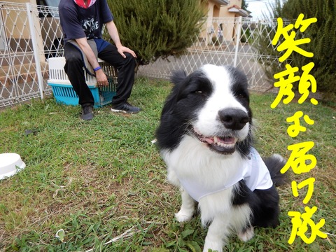 DSCN4312