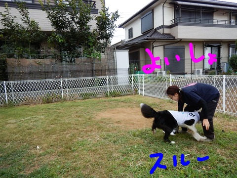 DSCN4317