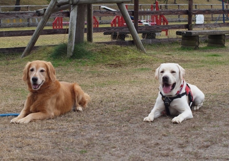 ����󷯤�