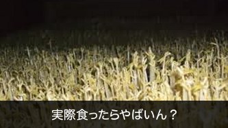 20111218102