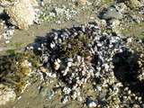 DSCN0417