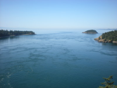 DSCN0434