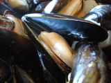DSCN0442