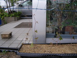 P5120802