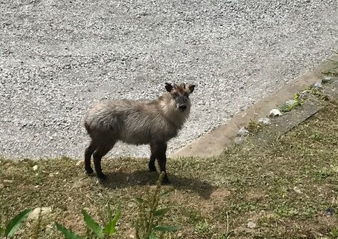 IMG_0313 - コピー