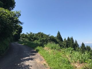 IMG_0930